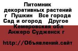 Питомник декоративных растений г. Пушкин - Все города Сад и огород » Другое   . Кемеровская обл.,Анжеро-Судженск г.